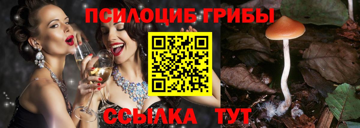 Галлюциногенные грибы Cubensis Ачинск
