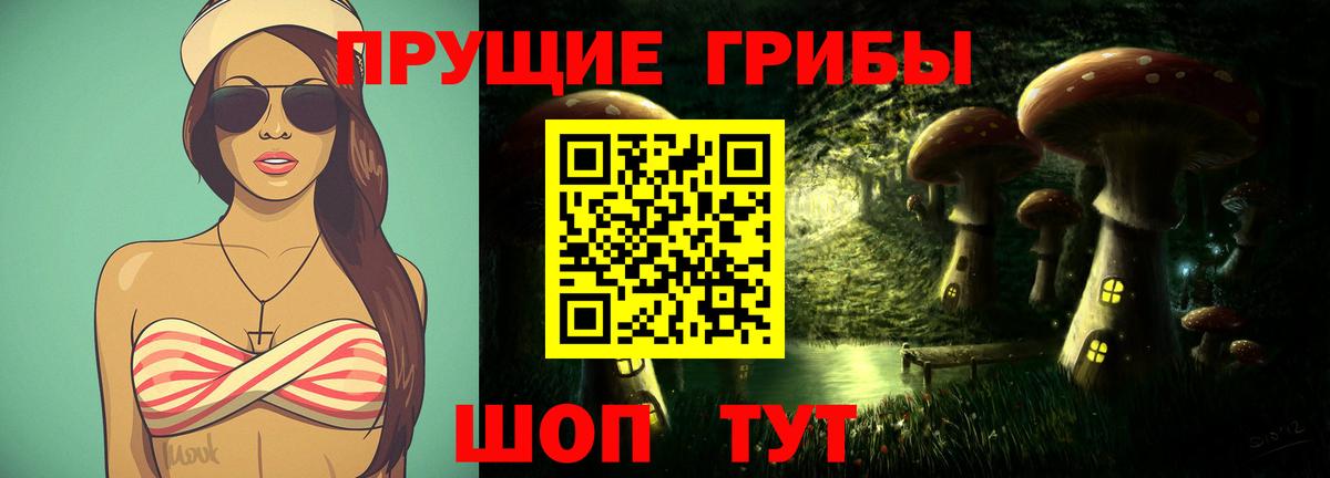 Галлюциногенные грибы Psilocybe  Вход с VPN  Ачинск 